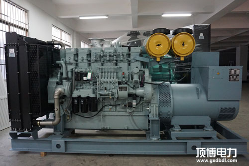 广西顶博发电机组制造出厂检验项目